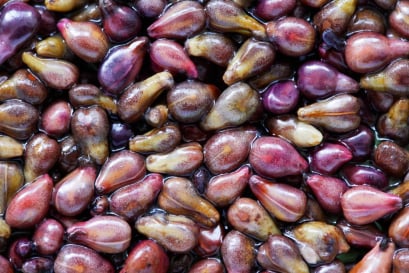 Audifort Ingredients